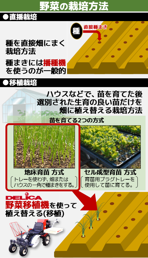 野菜移植機 - 株式会社デリカ
