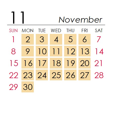 11月