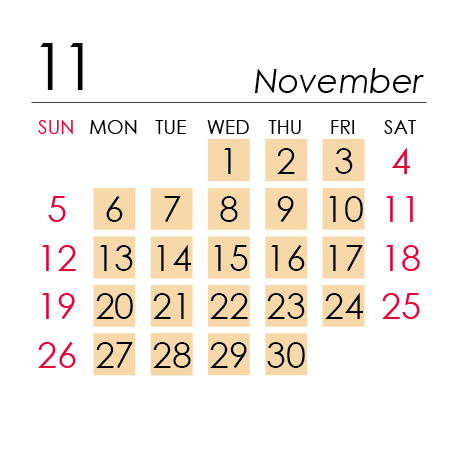11月